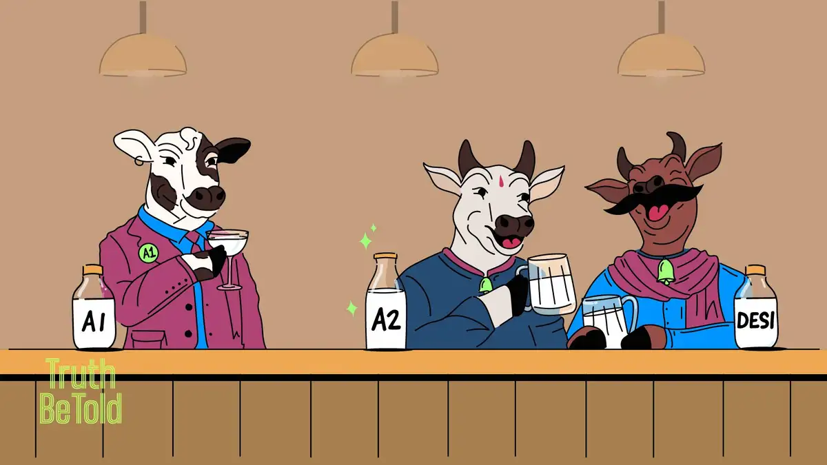 Is A2 Milk A Cash-Cow?