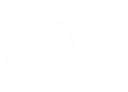 Newsletter Icon